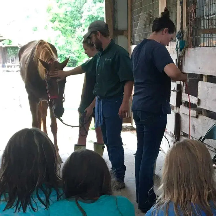 “Animal Habitats” Badge, For Girls Grades 4 – 5 Splendor Farms