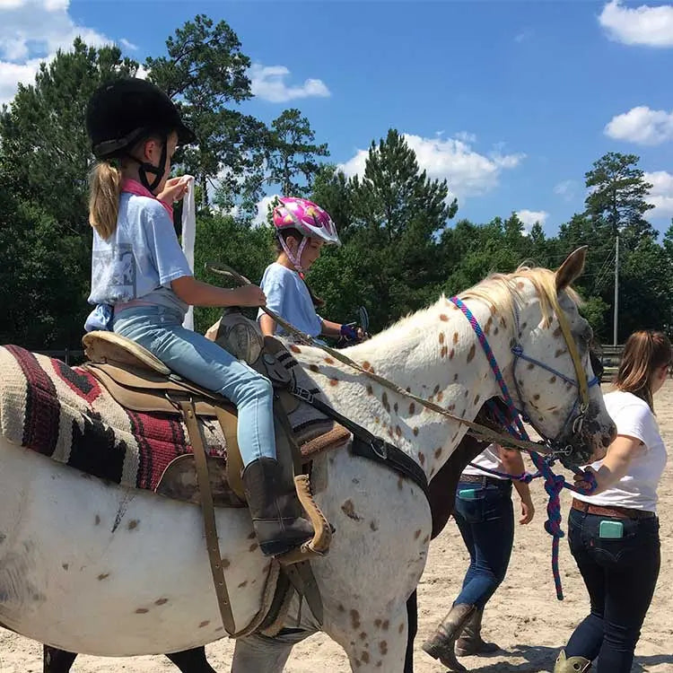 Arena Rides in Bush Louisiana Splendor Farms