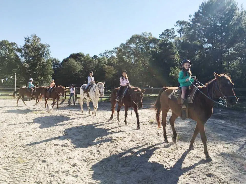 Arena Rides in Bush Louisiana Splendor Farms