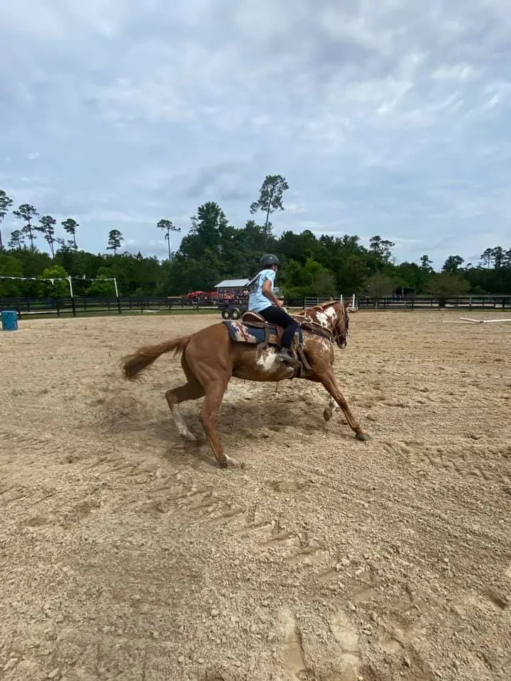 Holiday Horse Camps & Farm Camps Splendor Farms