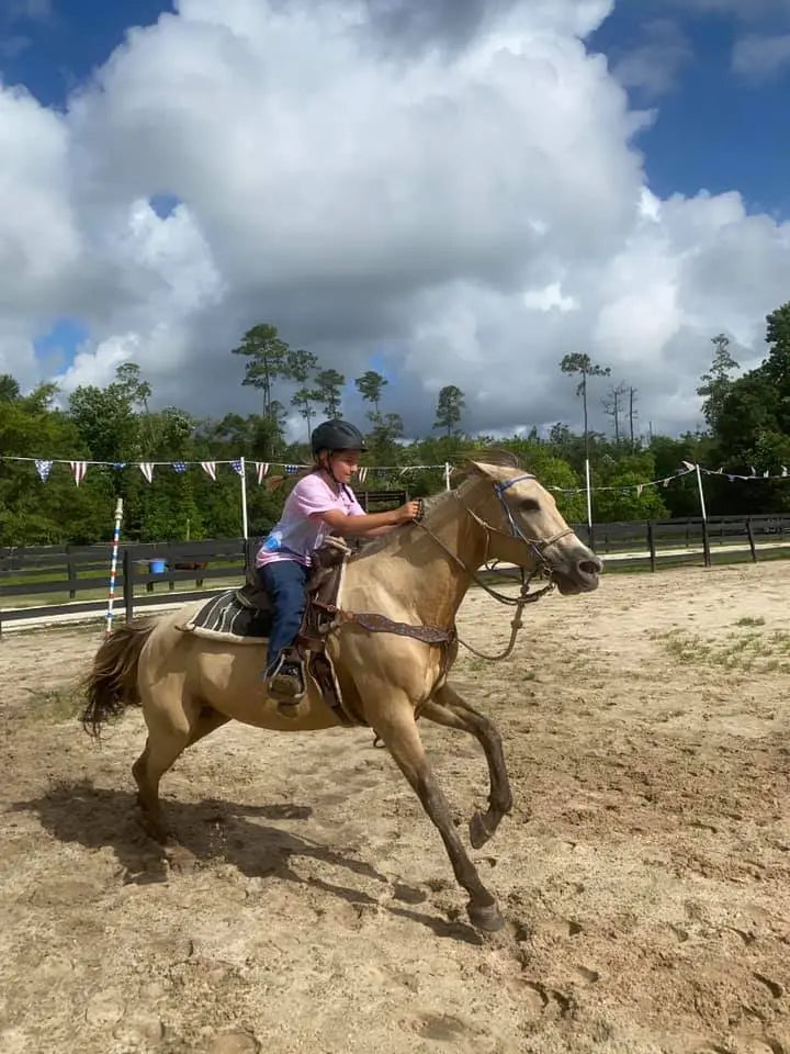 Spring Break Horse & Farm Camp Splendor Farms