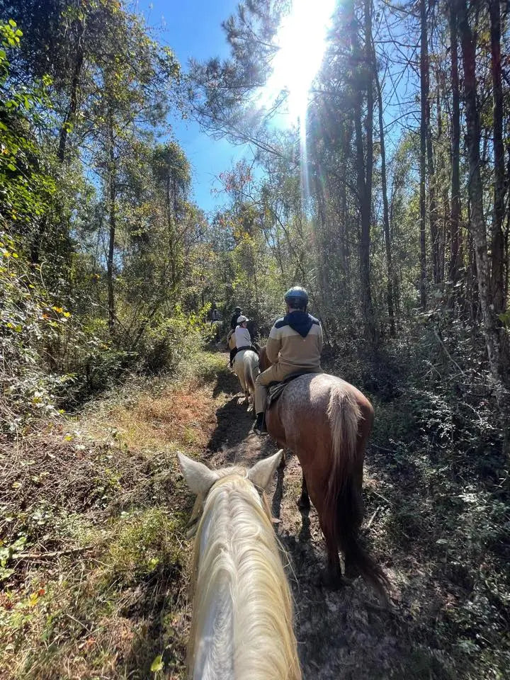 Trail Rides Splendor Farms