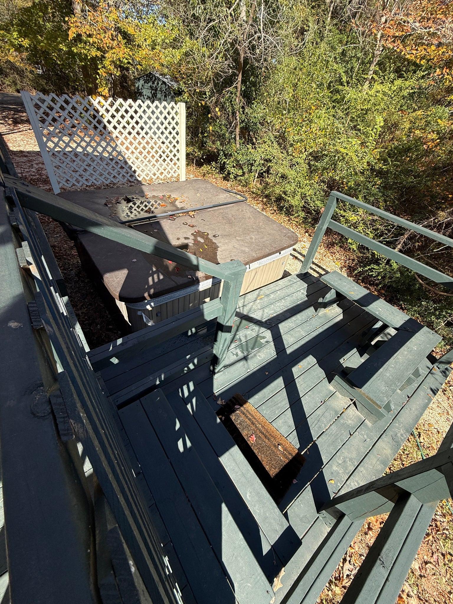 Guest Cabin Splendor Farms