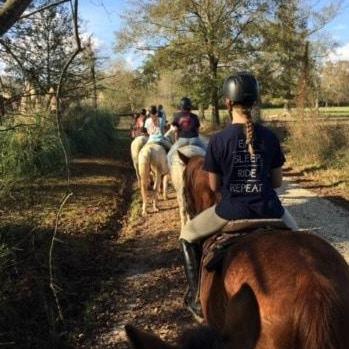 Horsemanship Badge, For Girls All Grades Splendor Farms