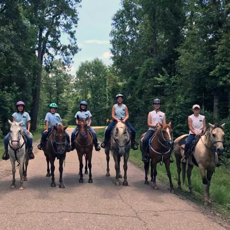 Summer Horse Camps & Farm Camp Splendor Farms
